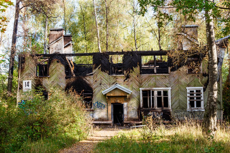 A derelict, partially burnt wooden house stands amidst lush, overgrown greenery and tall birch trees...