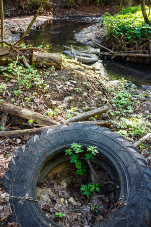 Old tractor tire discarded by a woodland stream, green sprouts bravely growing inside its dark rubber rim: Russia - May 8, 2025のeditorial素材