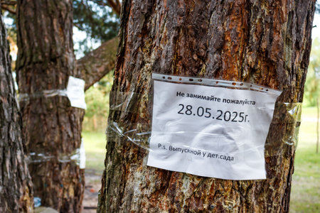 Signs on trees with requests not to occupy resting places on certain dates: Kaluga region, Russia -...