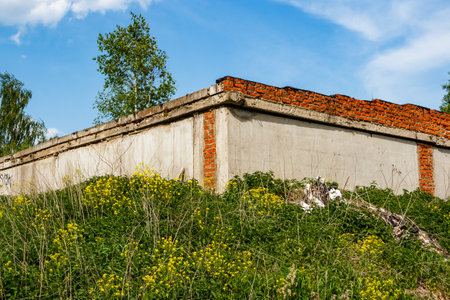 Corner of an old industrial building overgrown with wild vegetationの写真素材
