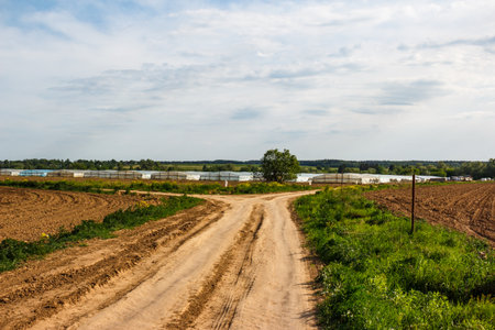 Rural dirt road forks between plowed and grassy fields, leading towards distant greenhouses under a cloudy skyの写真素材
