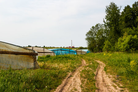 Row of greenhouses along a winding dirt road in a green rural landscape under a bright skyの写真素材