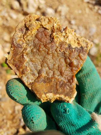 Sample of botryoidal chalcedony in hand, mineral hunting, central Russia