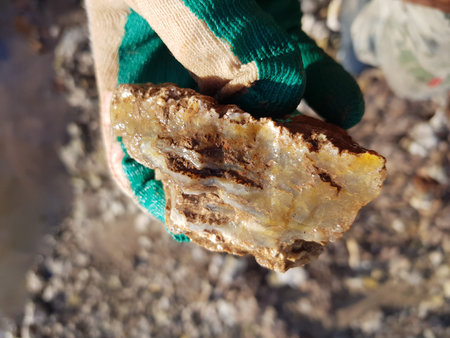 Bright layered chalcedony in hand, collecting collectible samples of rocks and minerals, central Russiaの写真素材