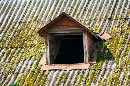 An old weathered roof heavily covered in vibrant green moss, featuring a rustic wooden dormer windowの写真素材