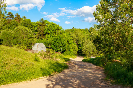 Rural dirt road meandering through vibrant green forest and grassy hills under a bright blue sky with fluffy white clouds. A small metal shed sits on the slopeの写真素材
