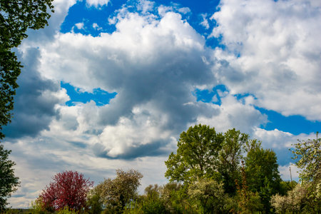 Vibrant blue sky with dramatic white and gray cumulus clouds over lush green and blossoming trees. A splash of red foliage adds contrast to the springtime landscapeの写真素材