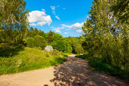 A picturesque dirt road winding through lush green trees under a vibrant blue sky with white clouds. Sunlight casts long shadows, highlighting a rustic shed nestled on a grassy hillsideの写真素材