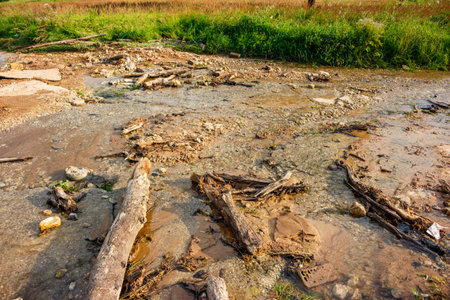A stream of water during a heavy rain carried branches and stones onto the road