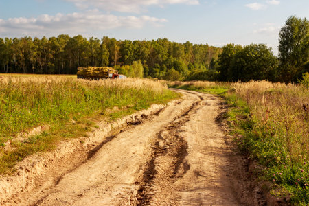 A rough dirt road used by farm trucks.の写真素材