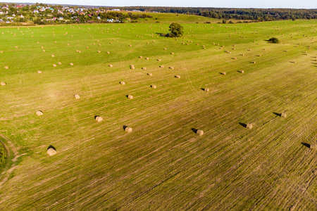 A picturesque farm field with hay bales stretching into the distance, aerial viewの写真素材