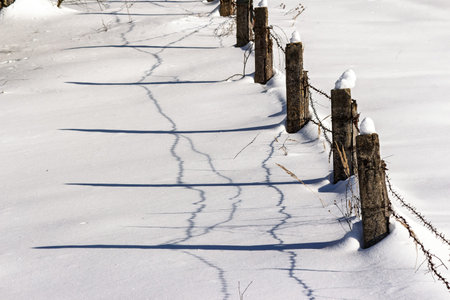Rustic barbed wire fence posts rise from a pristine snow blanket, casting sharp, wavy shadows across the bright winter fieldの写真素材