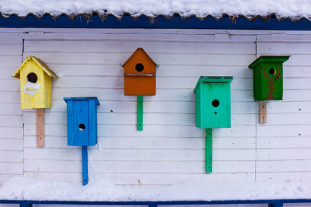 A row of five colorful wooden birdhouses hangs on a white clapboard wall, partially covered with snow suggesting a winter settingの写真素材