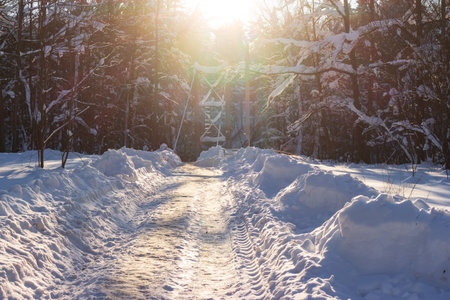 Bright sunlit winter path leading to a distant pedestrian bridge amidst a snow-covered forest. Perfect tranquil January morning landscapeの写真素材