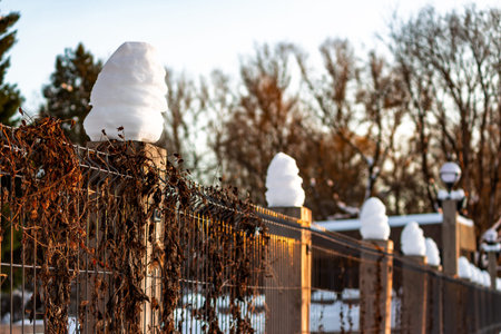 Snow globes perch atop fence posts, entwined with dormant vines, bathed in golden hour light against...