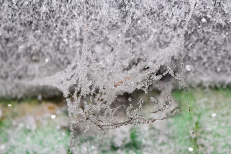 Delicate frozen spiderweb, encrusted with frost and ice droplets, hangs in a concrete tunnel, a...