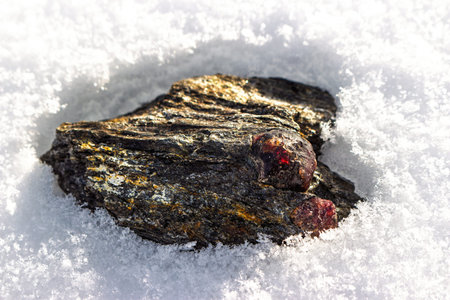 Vibrant red almandine garnet nestled in rough mica schist, starkly contrasting against pristine white snow, a natural treasure. Kitelskoe deposit, Kitelya, Karelia, Russiaの写真素材