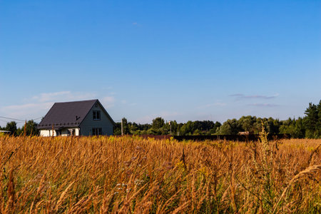 Charming isolated house with a dark roof stands amidst a vast golden field of tall dry grass under a clear blue summer sky, offering a peaceful and serene countryside retreat