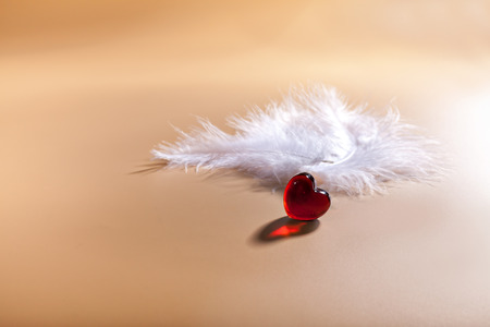 Valentine's Day. Symbolic red heart. Air white feathers.の写真素材