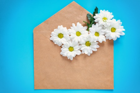 Kraft envelope and white chrysanthemums on a blue background. Copy space and room for the signature. Spring mood.の写真素材