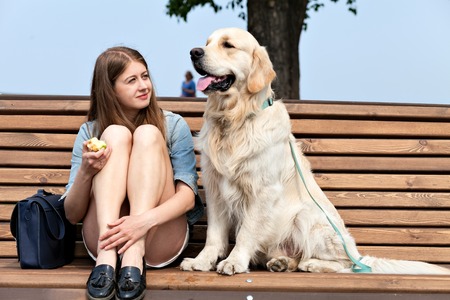 Portrait of a young girl and her dog on a park bench outdoors. Happy owner sitting next to his dog breed golden retriever on a background of summer city. Human friendship and dogs. Joint pastime.の写真素材