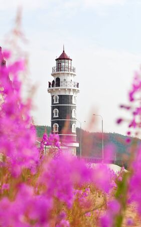 View of lighthouse through the flowers Purple Alpine Cyprus. Resort Goryachinsk, Siberia. Russia. Lighthouse on the coast of Lake Baikal.の写真素材