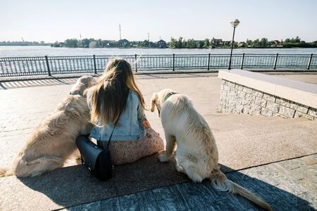 Rear view of a beautiful girl and her dogs on a morning walk with two golden retrievers.の写真素材