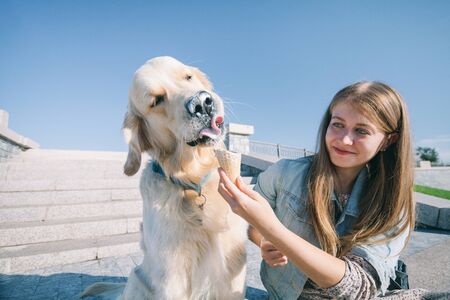 A young girl feeds her dog ice cream in a park on a hot summer day.の写真素材