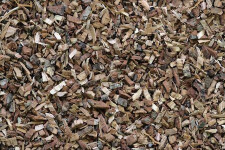 Oak bark textureの写真素材