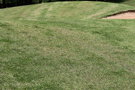 Golf course with green grass.