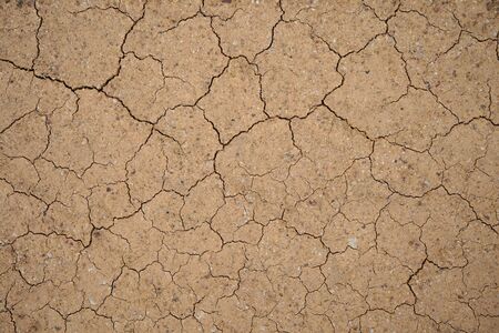 The surface of the country road