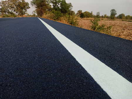 White traffic lines and a backdrop of eucalyptus trees.
