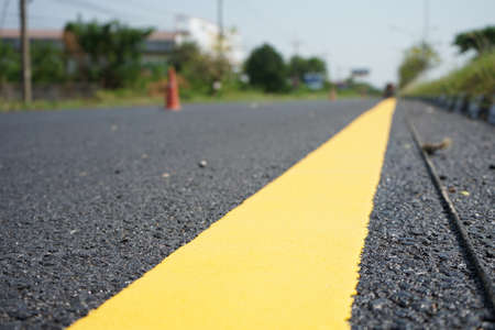 Yellow traffic lines and forest trees