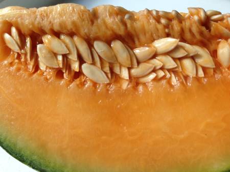 Slice melonの素材