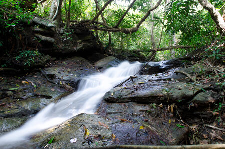 Water fall in dense and impenetrable forestの写真素材