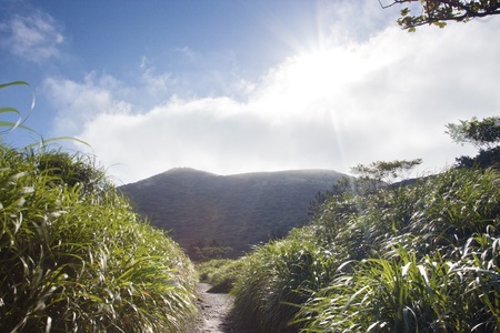landscape of yangming national park with pathの写真素材