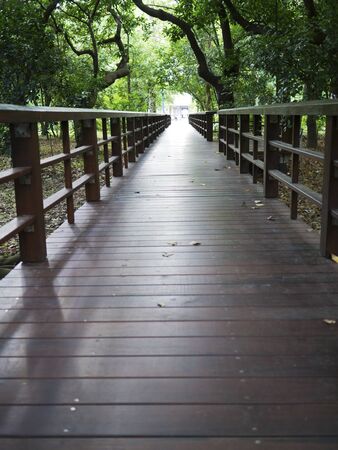the wooden walk path in parkの写真素材