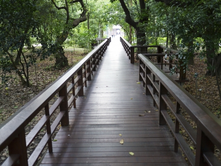 the wooden walk path in parkの写真素材