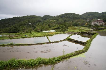 rural scenery of terraced fieldの写真素材