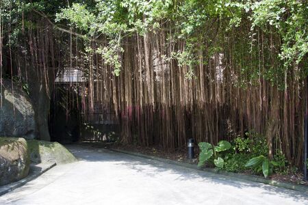 Landscaped Formal Garden. Park.の写真素材