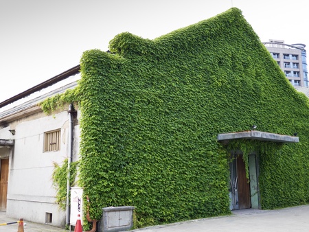 City street with green house with ivies daytime in Huashan Creative Park, Taipei, Taiwan, Asia.の写真素材