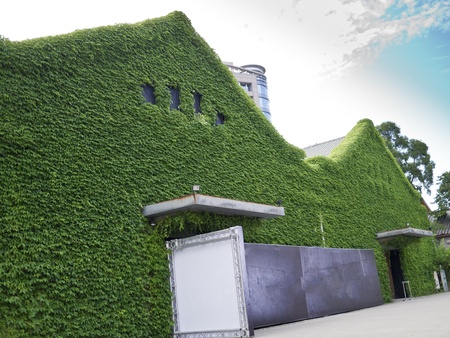 City street with green house with ivies daytime in Huashan Creative Park, Taipei, Taiwan, Asia.の写真素材