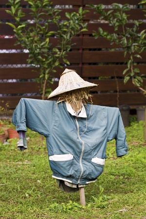 scarecrow in farmの写真素材
