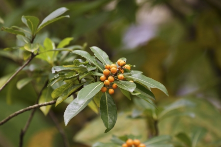 scenic of green park in cityの写真素材