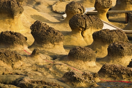 Geological formation of mushroom rock in Yehliu Geoparl in Taiwanの写真素材