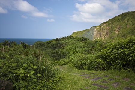 scenic of green park in seasideの写真素材