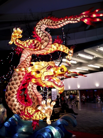 TAIPEI - MARCH 01: novel Chinese lanterns light up celebrating LANTERN Festival, known as Yuanxiao Festival, on MARCH 01, 2013 in TAIPEI, TAIWAN. It held annually in January of Lunar calendar.のeditorial素材