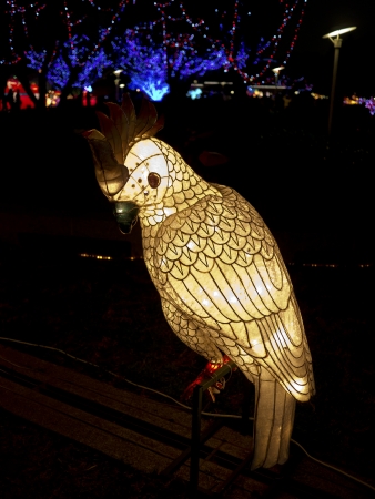 TAIPEI - MARCH 01: novel Chinese lanterns light up celebrating LANTERN Festival, known as Yuanxiao Festival, on MARCH 01, 2013 in TAIPEI, TAIWAN. It held annually in January of Lunar calendar.のeditorial素材