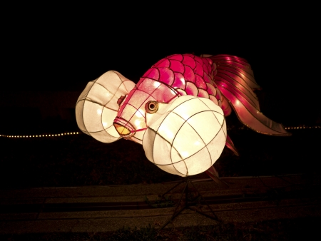 TAIPEI - MARCH 01: novel Chinese lanterns light up celebrating LANTERN Festival, known as Yuanxiao Festival, on MARCH 01, 2013 in TAIPEI, TAIWAN. It held annually in January of Lunar calendar.のeditorial素材