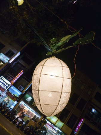 TAIPEI - March 10: novel Chinese lanterns light up celebrating LANTERN Festival, known as Yuanxiao Festival, on March 10, 2013 in TAIPEI, TAIWAN. It held annually in January of Lunar calendar.のeditorial素材